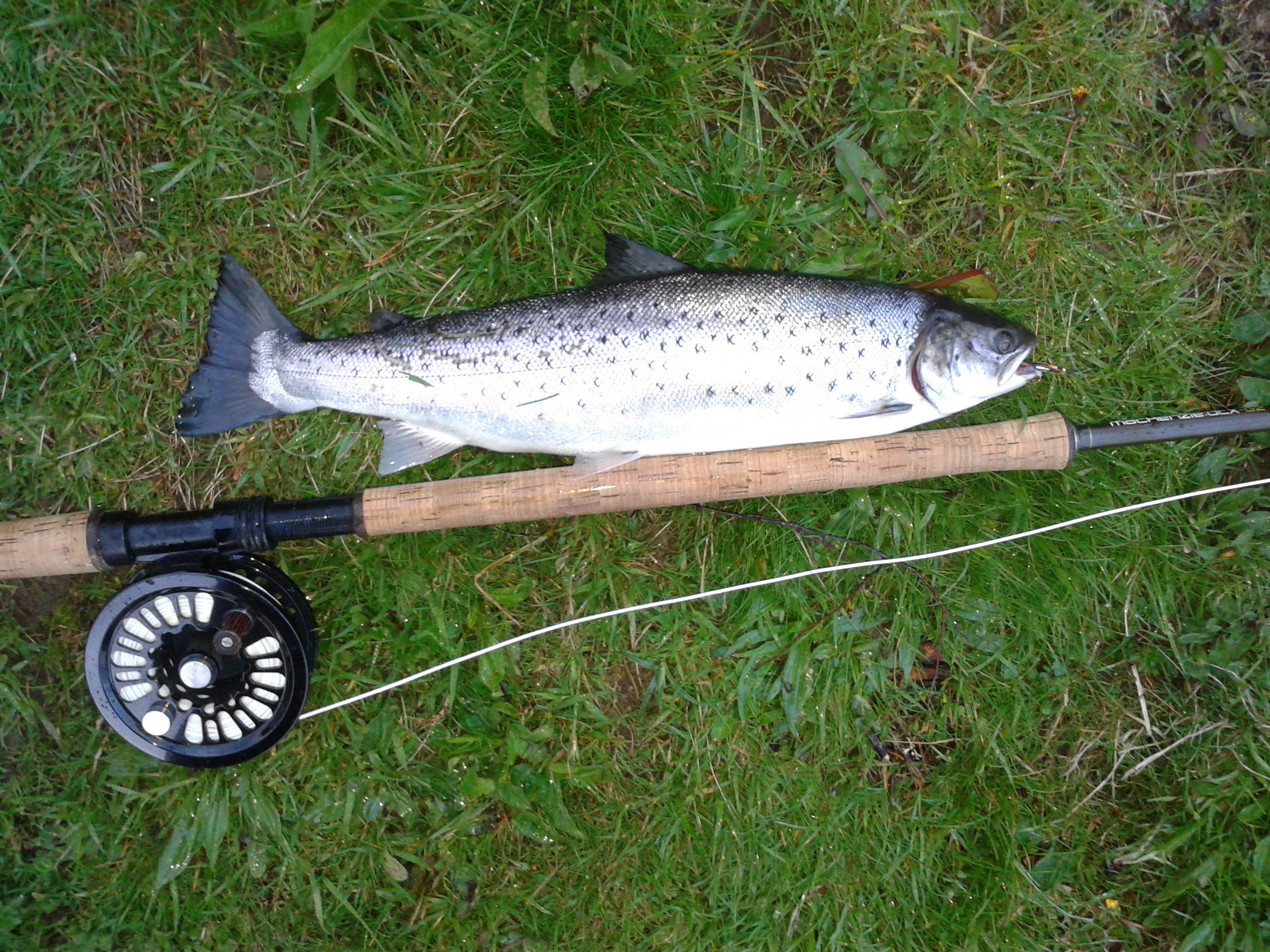 Good conditions again.