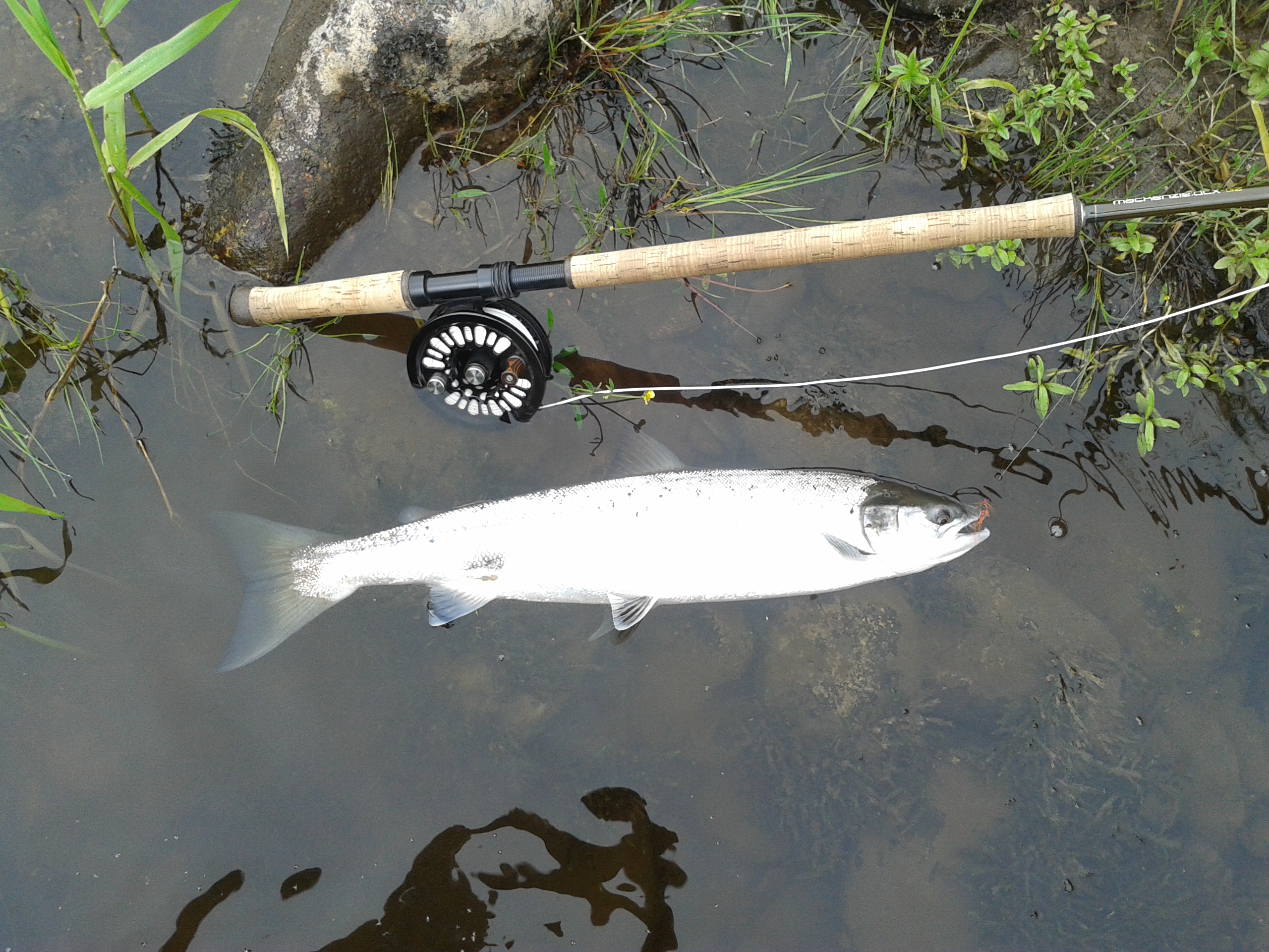 A very difficult week