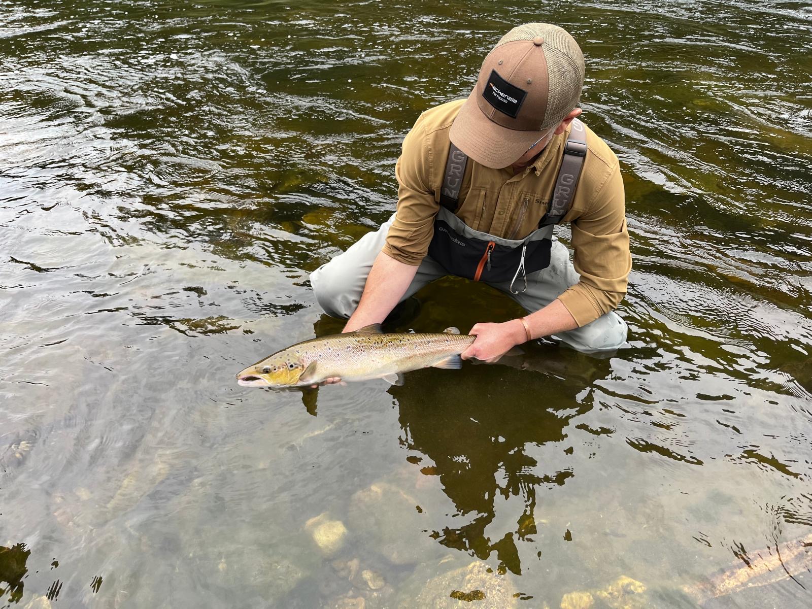 River low but some fish about