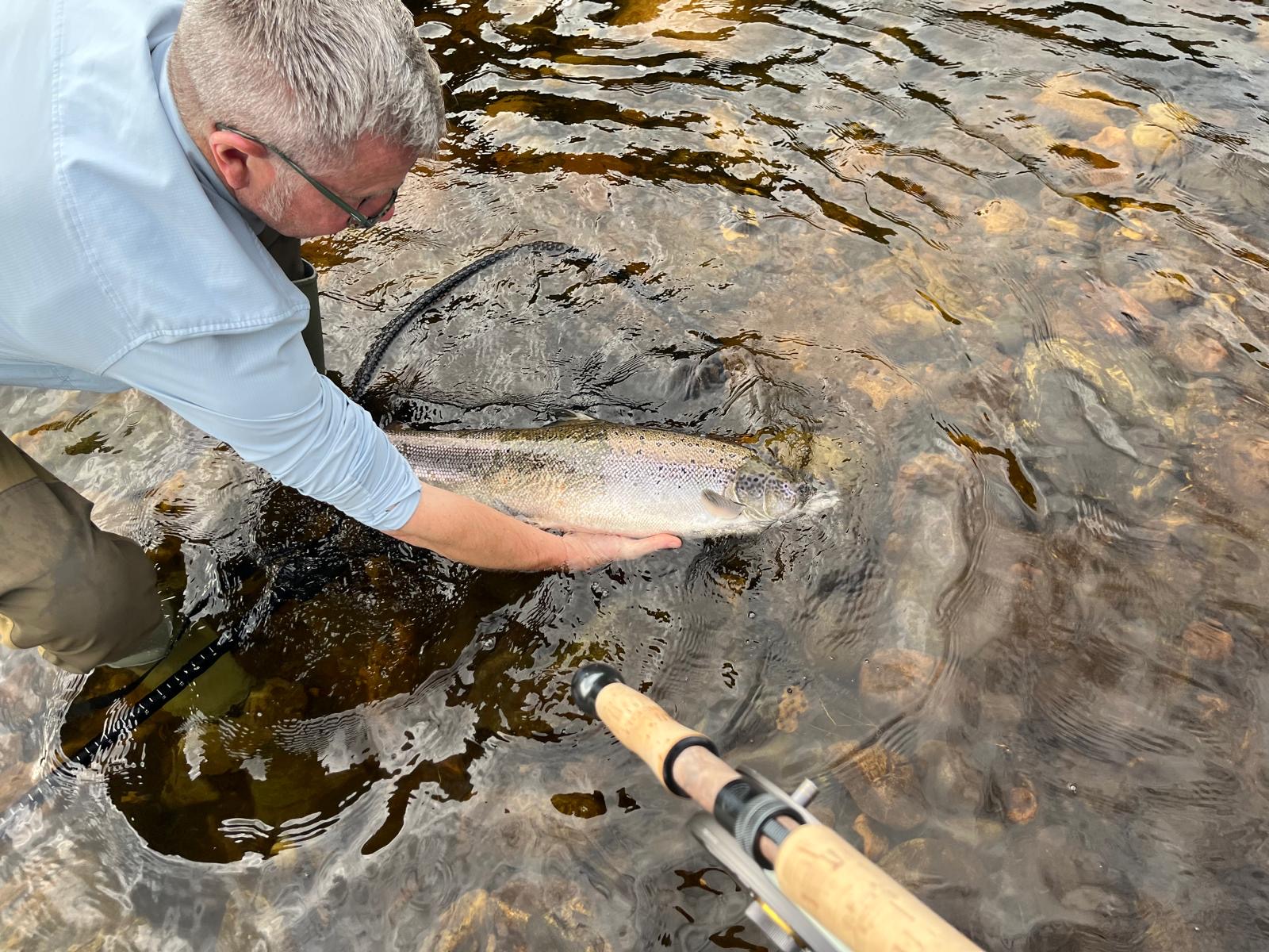 Good to see a decent water again