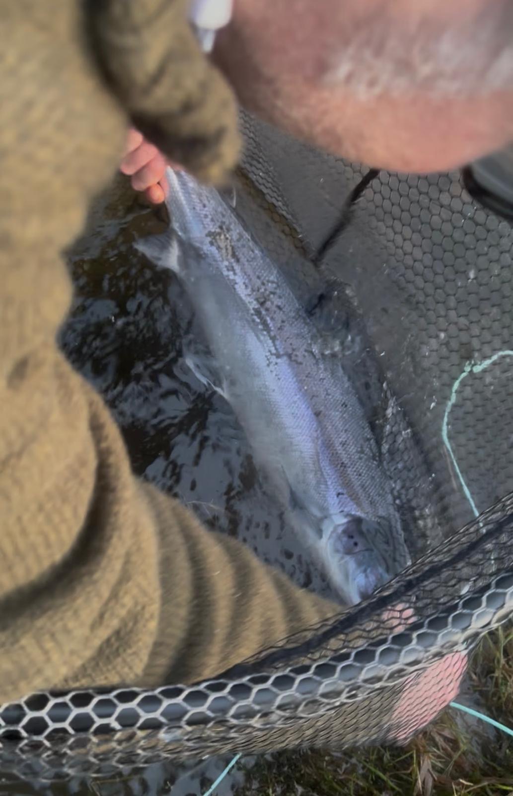 A lovely spring fishing week