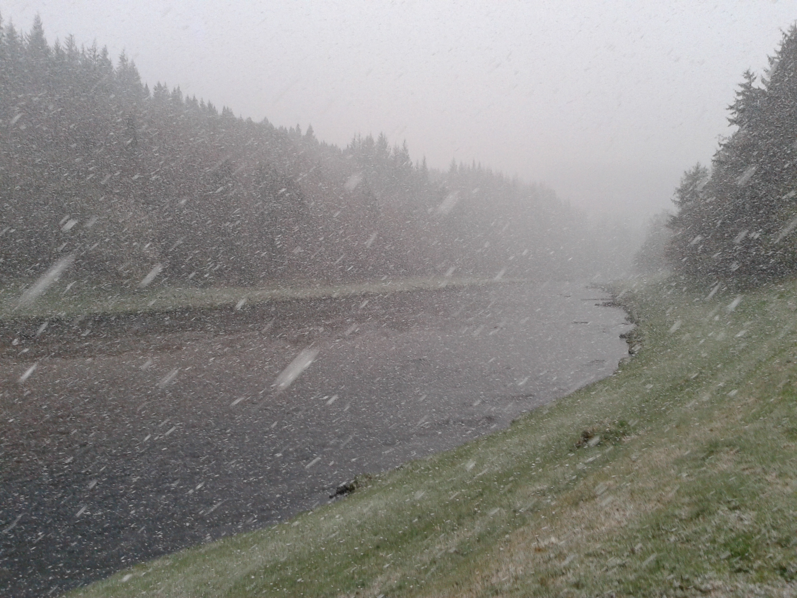 Nothing landed but seeing them