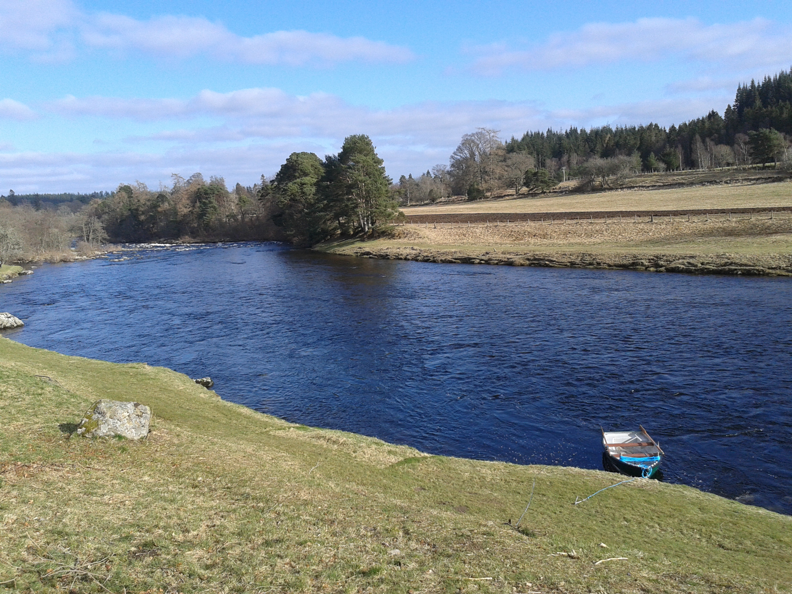 Cairnton - April Sale 2016