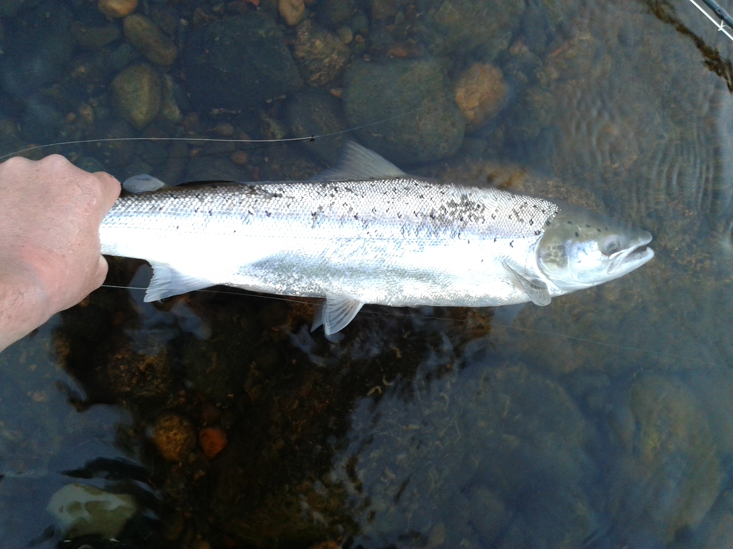 A better start to the week