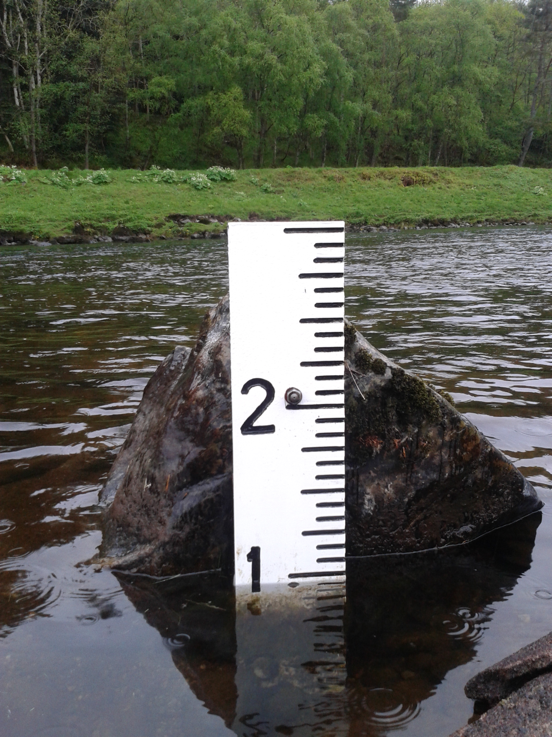 Quieter than expected