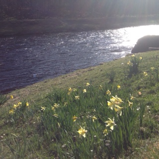 Another great week for condition's