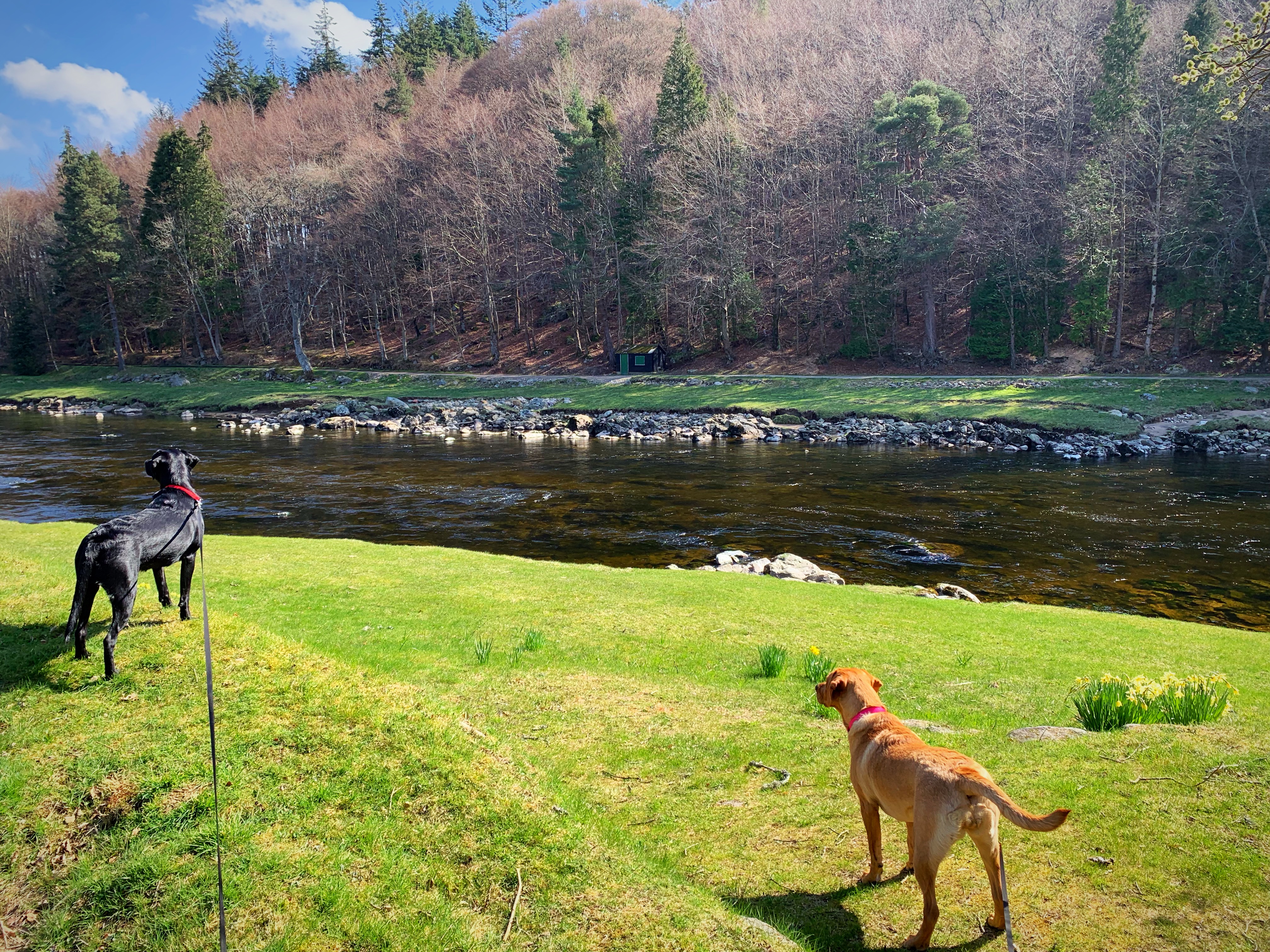 Availability Update - 20th April 2019