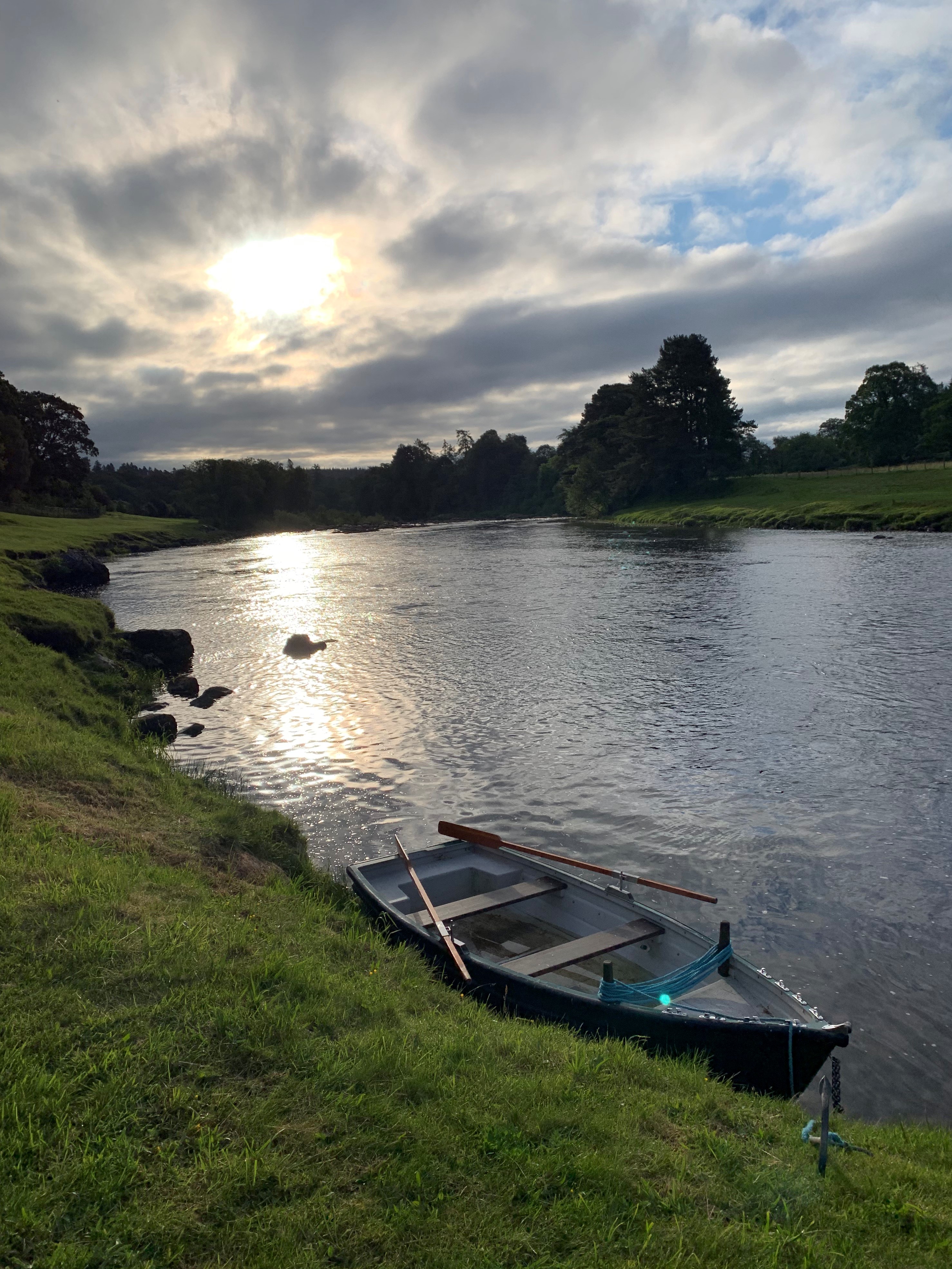 Latest Availability - 29th June 2019