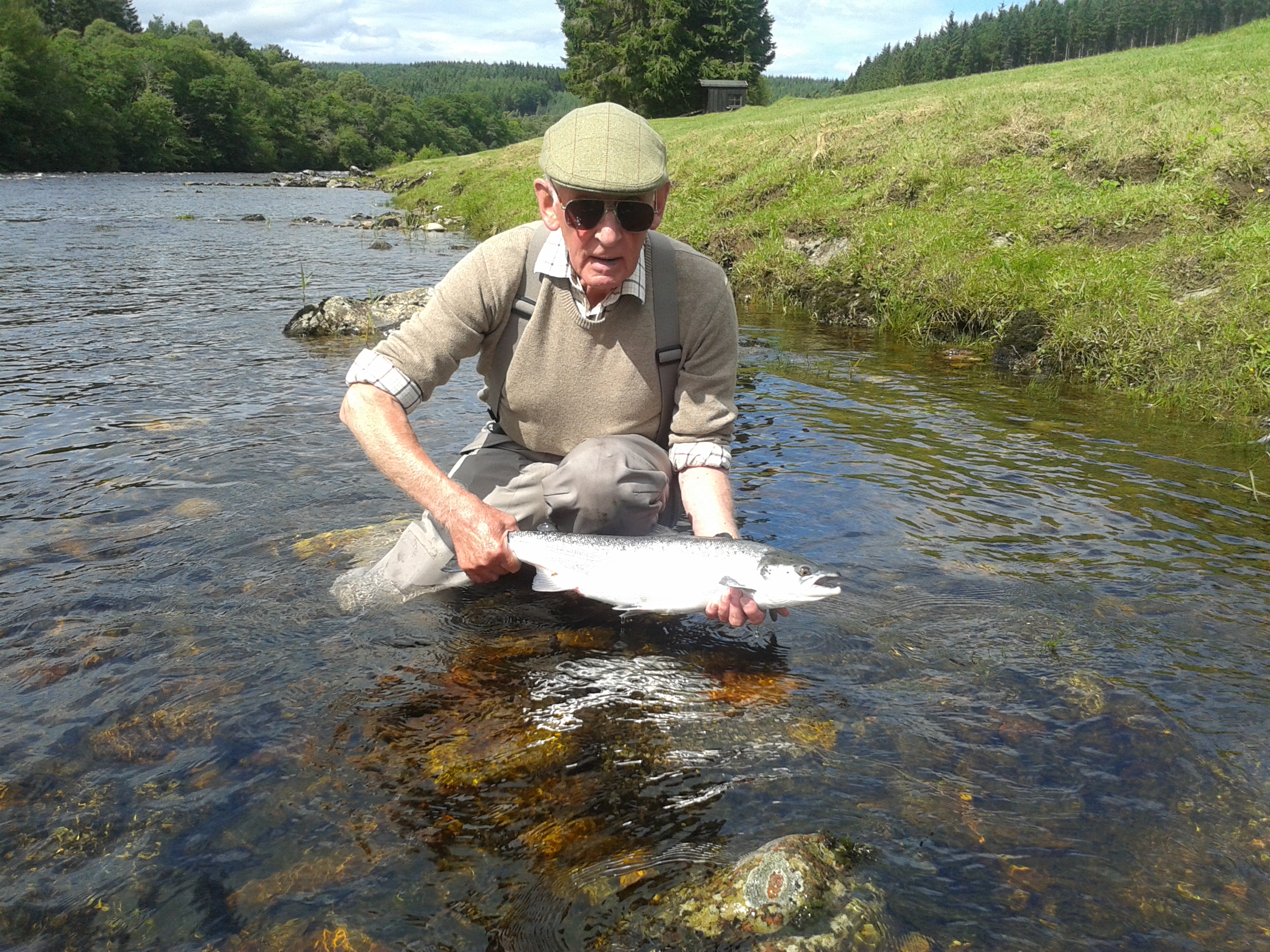 Another cracking week