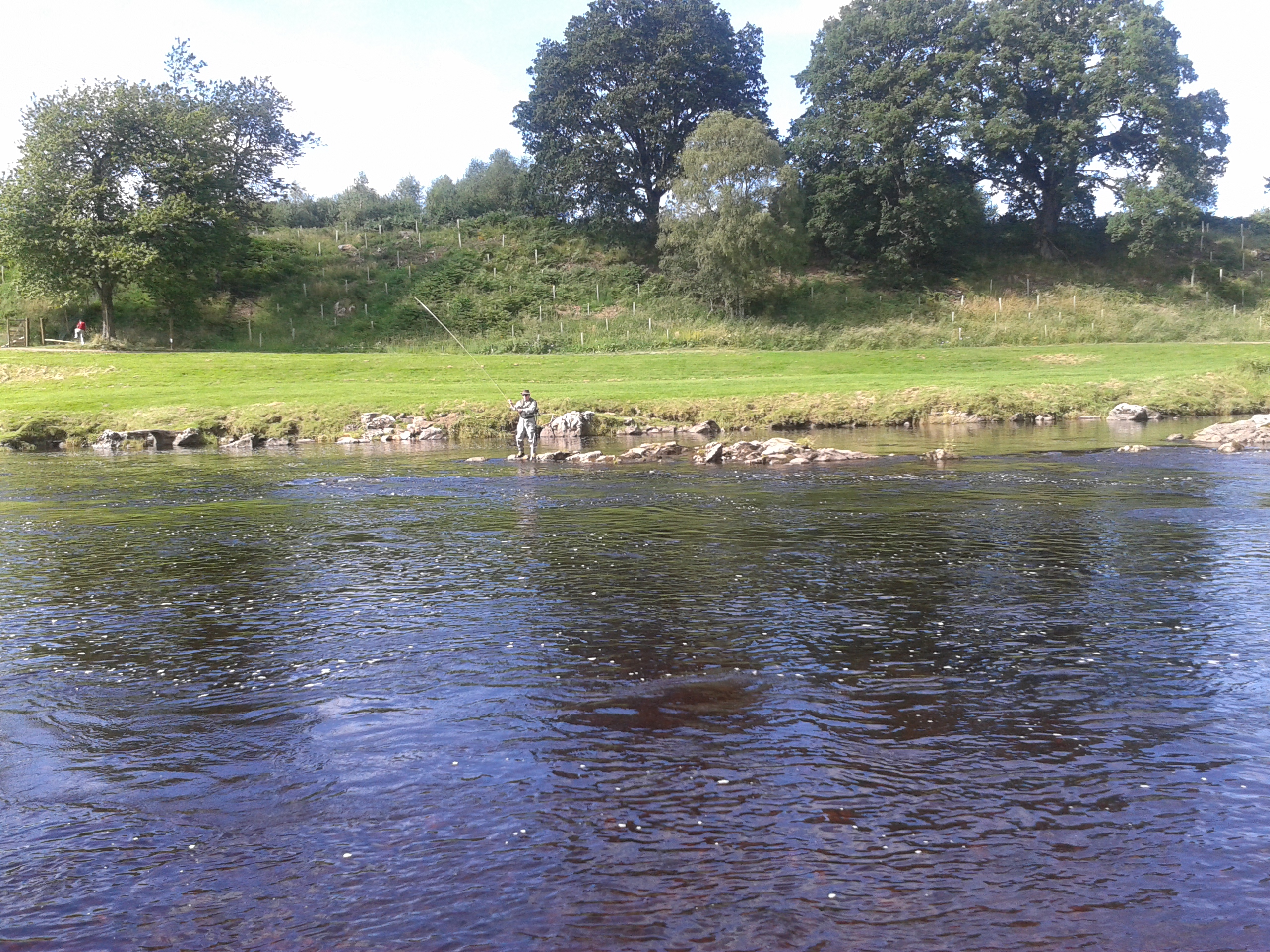 A slightly quieter week