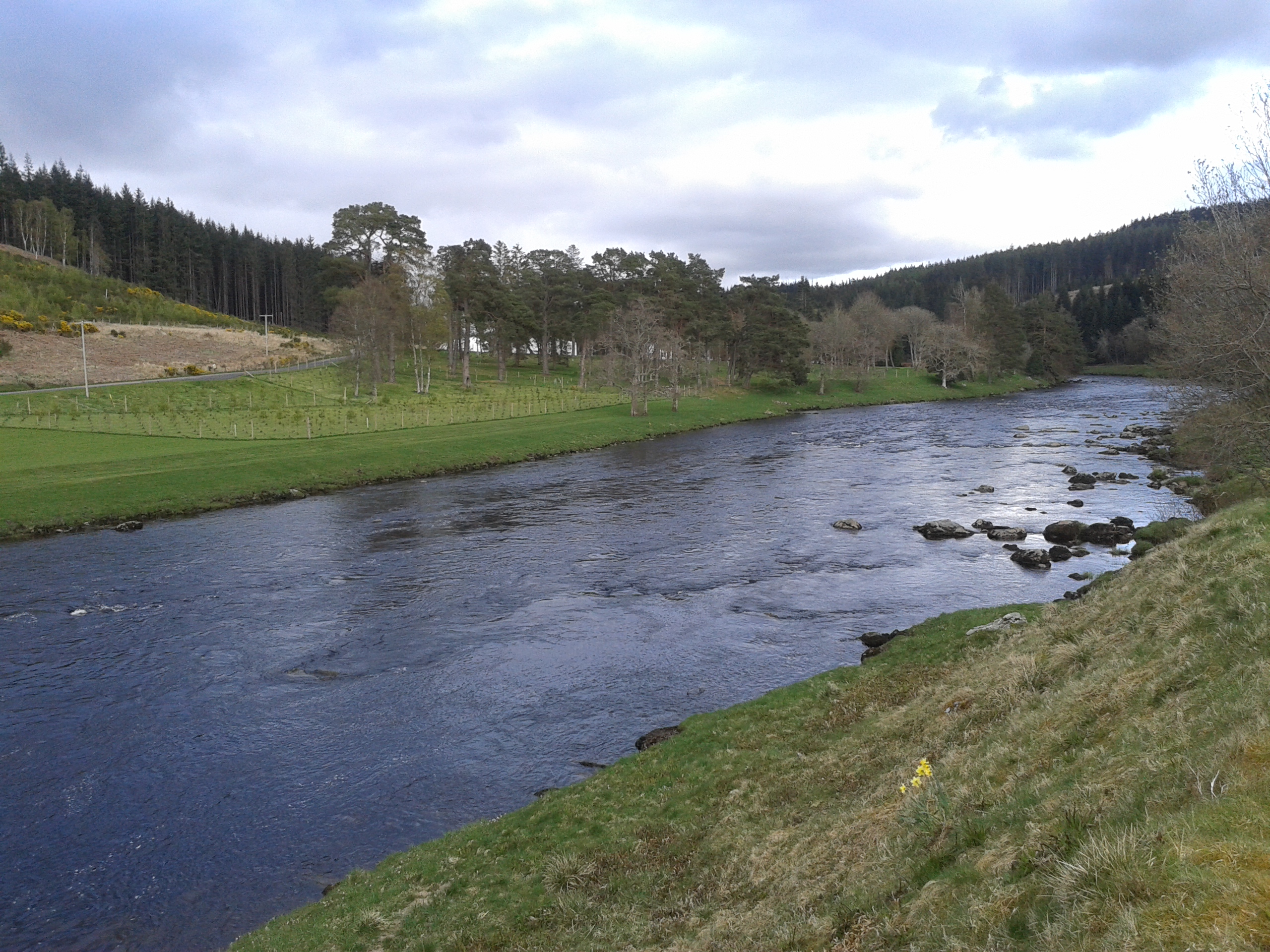 A surprising week, but for the wrong reasons!