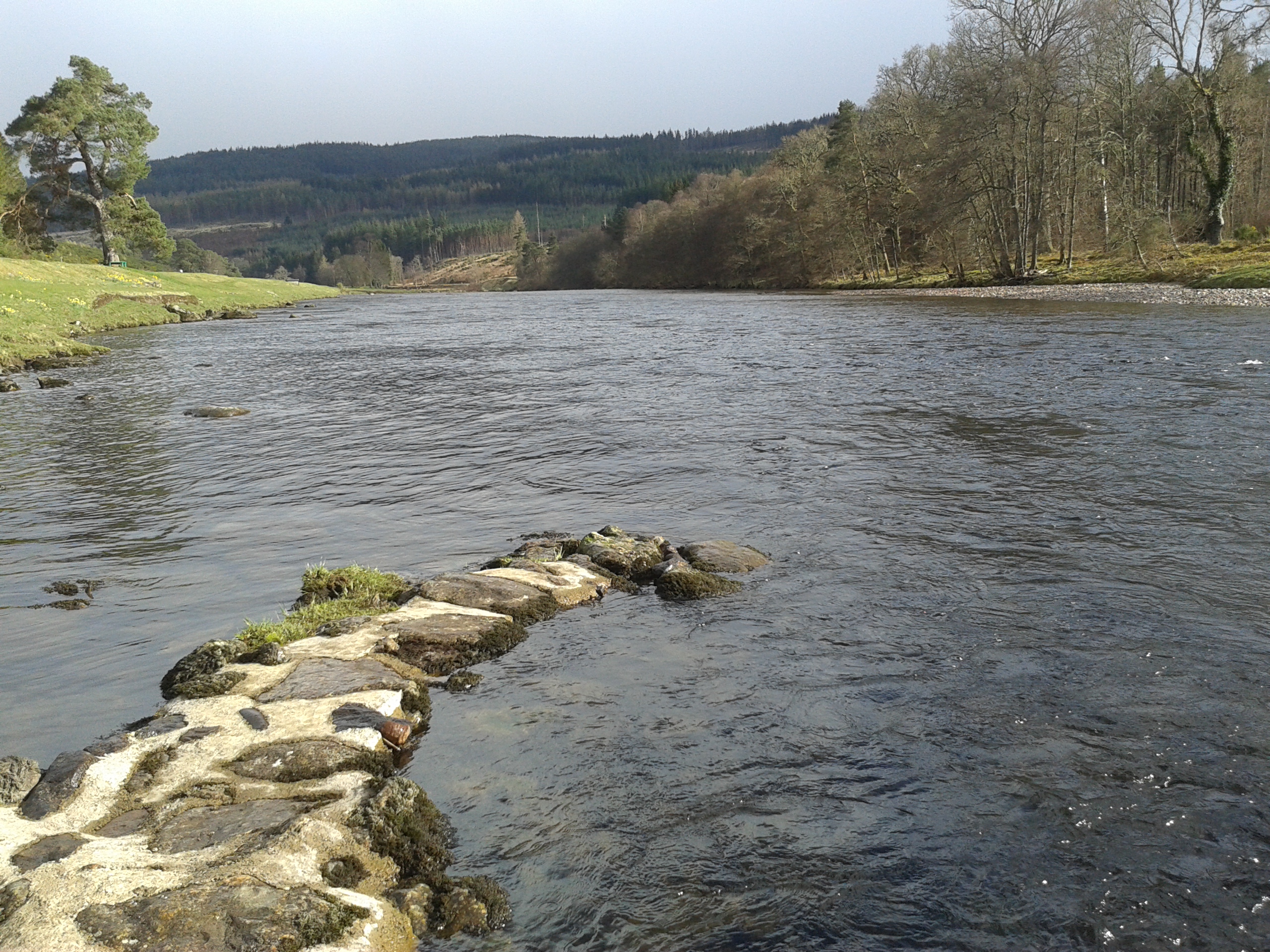 What a week for weather and some fish